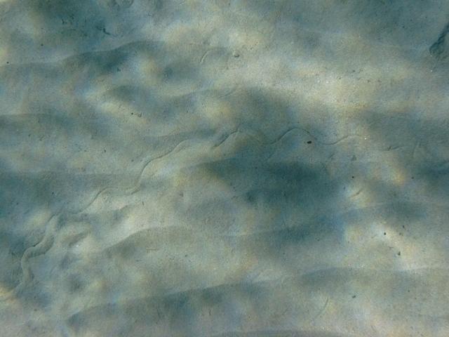 Si l'image tarde � s'afficher, cliquez sur le lien